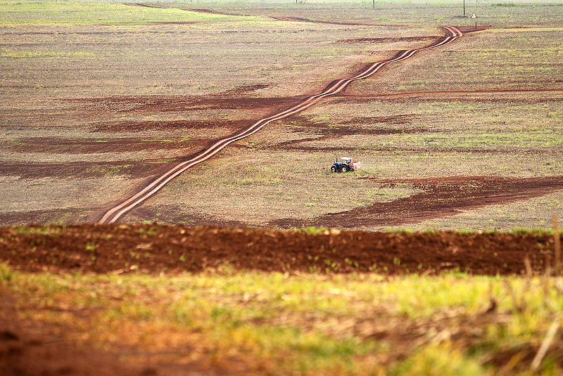 Aquisição de terras pelo Incra deve agilizar reforma agrária no PR