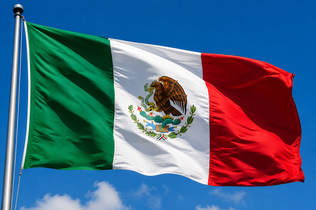 México se destaca entre os países da OCDE que estão aumentando o salário mínimo de forma constante